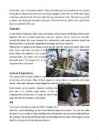 Temperate deciduous forests-woodlands and shrub #3