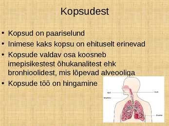 Hingamine #2