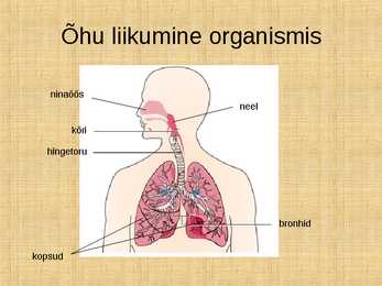 Hingamine #5