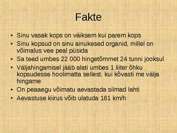 Hingamine #10