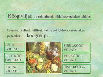Köögiviljad #2