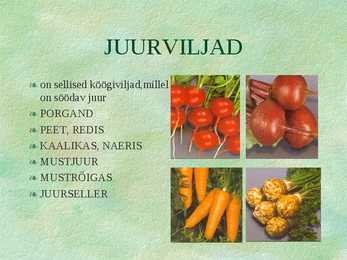 Köögiviljad #3