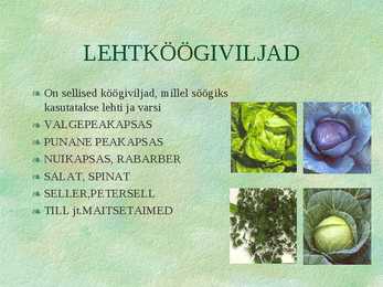 Köögiviljad #4