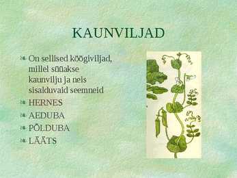 Köögiviljad #5