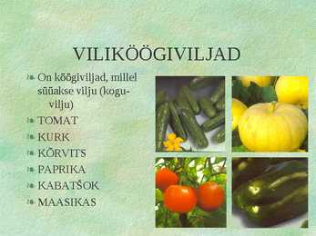 Köögiviljad #7