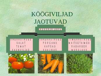 Köögiviljad #10