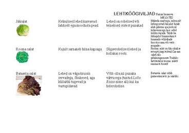 Lehtköögiviljad #2