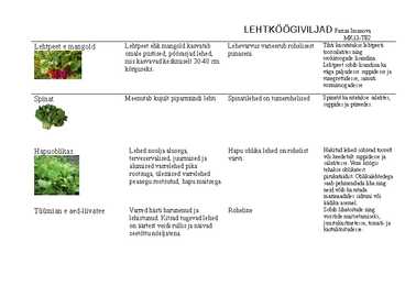 Lehtköögiviljad #4