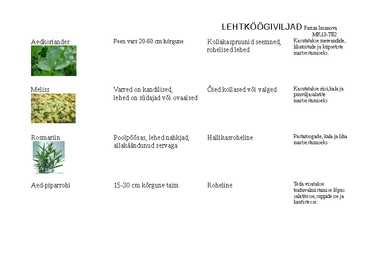 Lehtköögiviljad #7