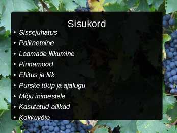 Vulkaanid Etna ja Vesuuv-esitlus #2