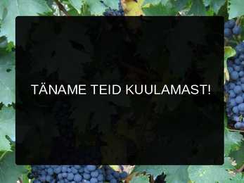 Vulkaanid Etna ja Vesuuv-esitlus #17
