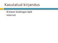 Algloomad #11