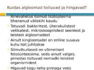 Algloomad #4