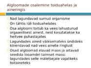 Algloomad #8