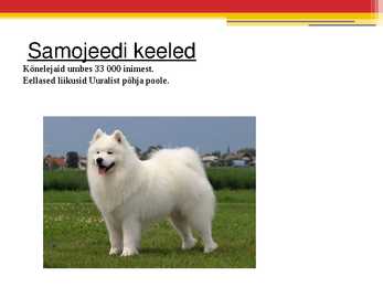 Soomeurgri keelkond #4