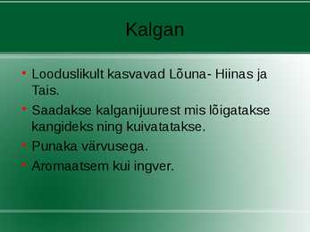 Vürtsid #3