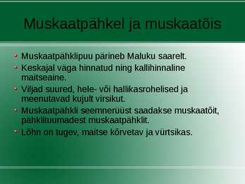 Vürtsid #9