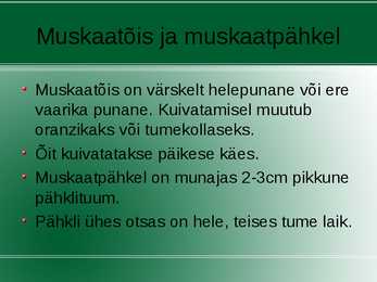Vürtsid #10