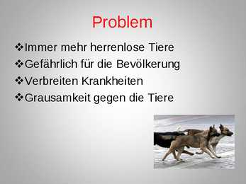 Herrenlose Tiere- schlechte Tierzuchtkultur #3