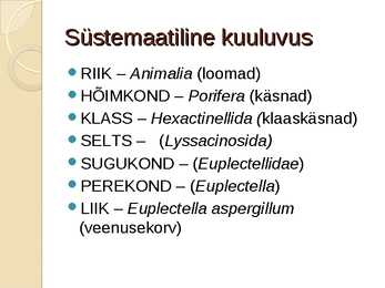 Veenusekorv #2