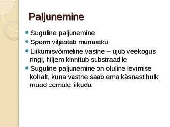 Veenusekorv #7