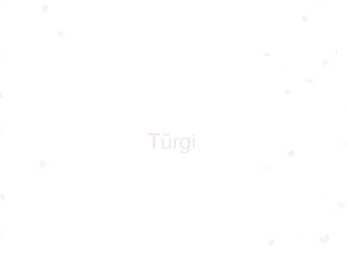 Türgi