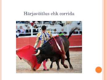 Hispaania esitlus #16
