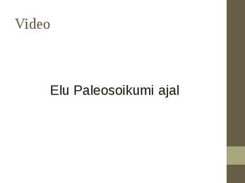 Paleosoikum #7