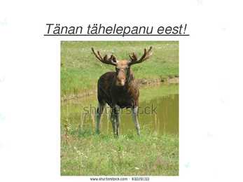 ORGANISM JA ELUPAIK #7