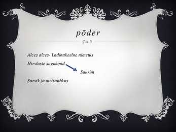 PÕDER #2