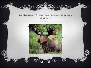 PÕDER #11