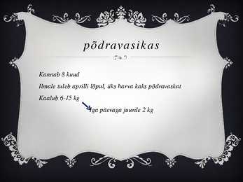PÕDER #6