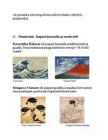 IDAMAADE KUNST JA KESK-AMEERIKA #7
