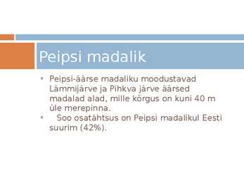 Peipsi madalik #2