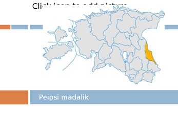 Peipsi madalik