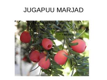 JUGAPUU #6