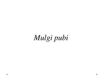 Mulgi Pubi väljamõeldud toitlustusettevõte
