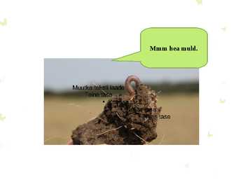 Muld ja vihmaussid #7