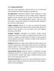 Isikutaju-eneseavamine-suhtlemistasandid #2