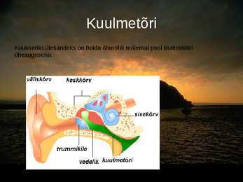 Kuulmine #7