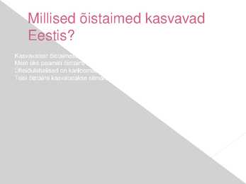 Õis- e Katteseemnetaimed #6