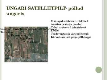 PÕLLUMAJANDUS KEENIA JA UNGARI #18