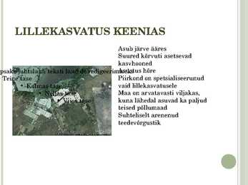 PÕLLUMAJANDUS KEENIA JA UNGARI #35