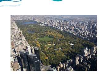 CENTRAL PARK #4