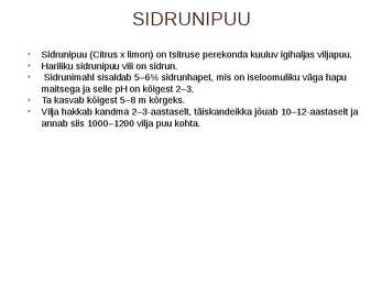 SIDRUN #2