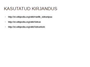 SIDRUN #13