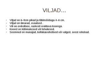 SIDRUN #5