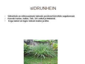 SIDRUN #9
