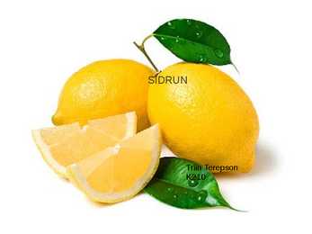 SIDRUN