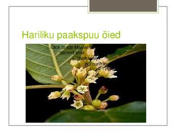Harilik paakspuu #5